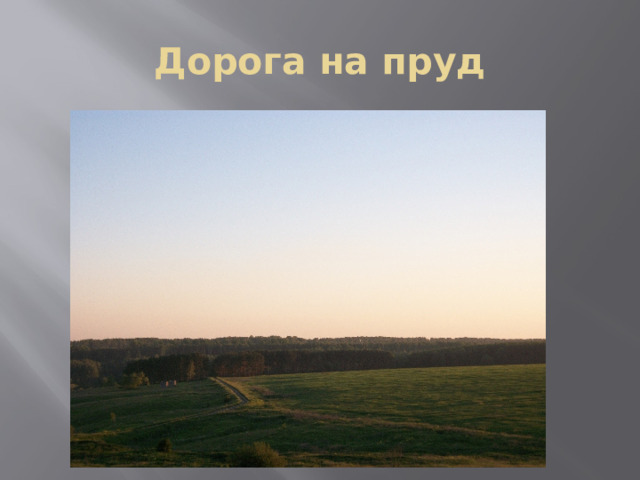 Дорога на пруд