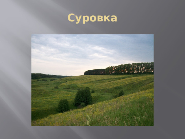 Суровка