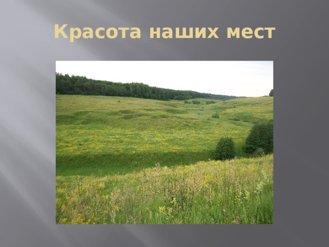 Красота наших мест