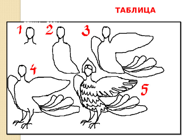 ТАБЛИЦА  Один из вариантов поэтапного изображения птицы – девы.