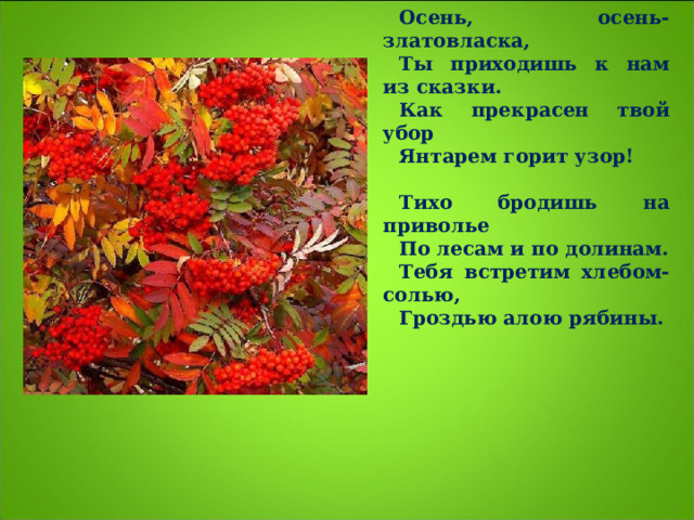 Осень, осень-златовласка, Ты приходишь к нам из сказки. Как прекрасен твой убор Янтарем горит узор!   Тихо бродишь на приволье По лесам и по долинам. Тебя встретим хлебом-солью, Гроздью алою рябины.