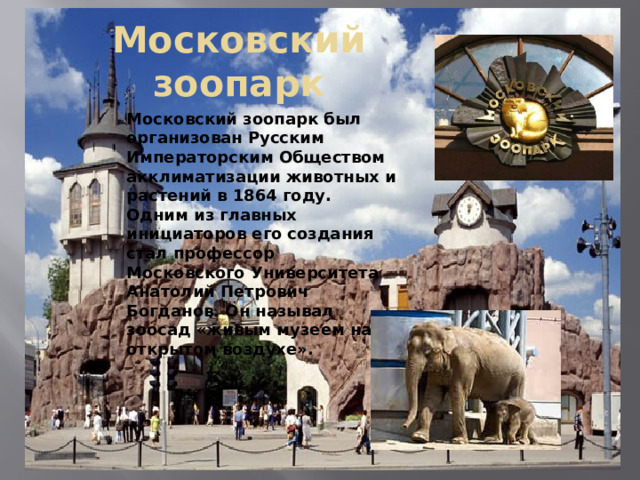 Московский зоопарк Московский зоопарк был организован Русским Императорским Обществом акклиматизации животных и растений в 1864 году. Одним из главных инициаторов его создания стал профессор Московского Университета Анатолий Петрович Богданов. Он называл зоосад «живым музеем на открытом воздухе». 