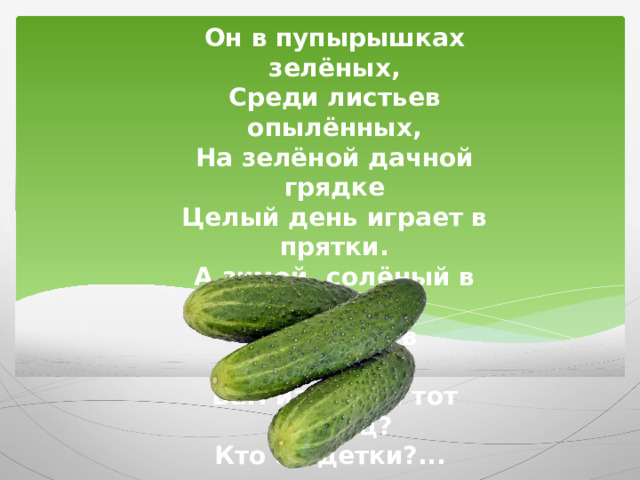 Он в пупырышках зелёных, Среди листьев опылённых, На зелёной дачной грядке Целый день играет в прятки. А зимой, солёный в бочке, Отдыхает в холодочке. Вам известен тот хитрец? Кто он детки?...