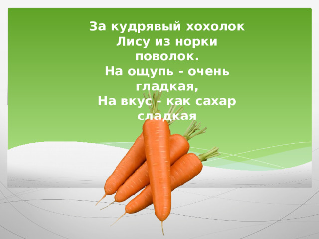 За кудрявый хохолок  Лису из норки поволок.  На ощупь - очень гладкая,  На вкус - как сахар сладкая