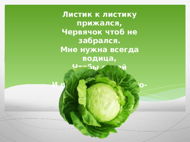 Листик к листику прижался, Червячок чтоб не забрался. Мне нужна всегда водица, Чтобы силой укрепиться. И расту я густо, густо- Я зелёная…..