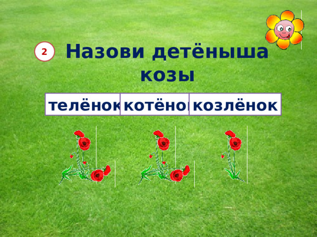 Назови детёныша козы 2 телёнок котёнок козлёнок 12