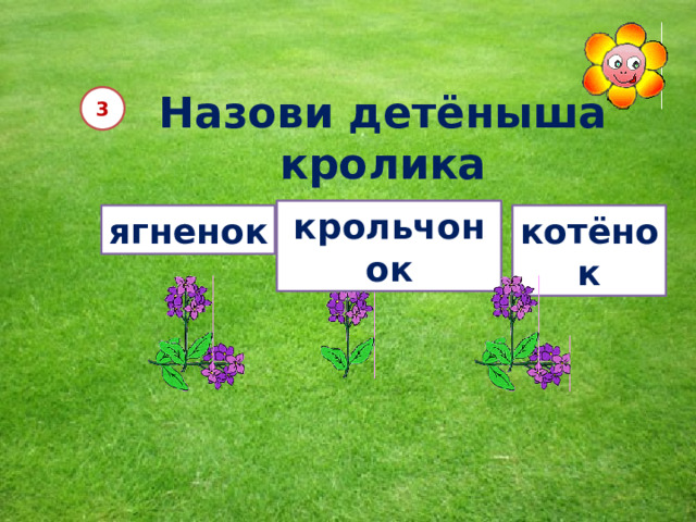 Назови детёныша кролика 3 крольчонок ягненок котёнок 12