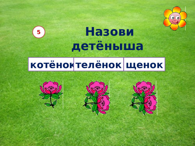 Назови детёныша кошки 5 котёнок телёнок щенок 12