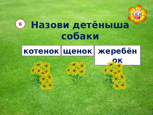 Назови детёныша собаки 6 котенок щенок жеребёнок 12