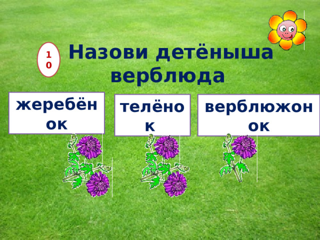 Назови детёныша верблюда 10 жеребёнок телёнок верблюжонок 12