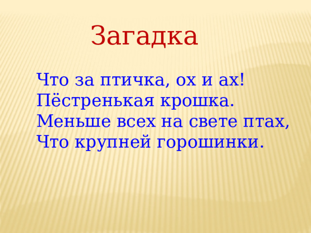 Загадка Что за птичка, ох и ах! Пёстренькая крошка. Меньше всех на свете птах, Что крупней горошинки.