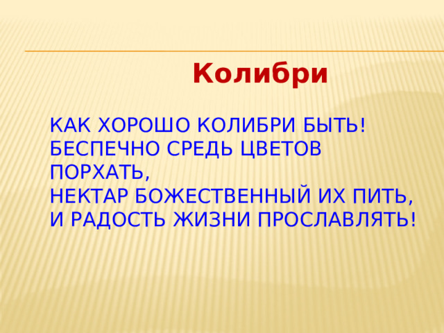 Колибри КАК ХОРОШО КОЛИБРИ БЫТЬ!  БЕСПЕЧНО СРЕДЬ ЦВЕТОВ ПОРХАТЬ,  НЕКТАР БОЖЕСТВЕННЫЙ ИХ ПИТЬ,  И РАДОСТЬ ЖИЗНИ ПРОСЛАВЛЯТЬ!