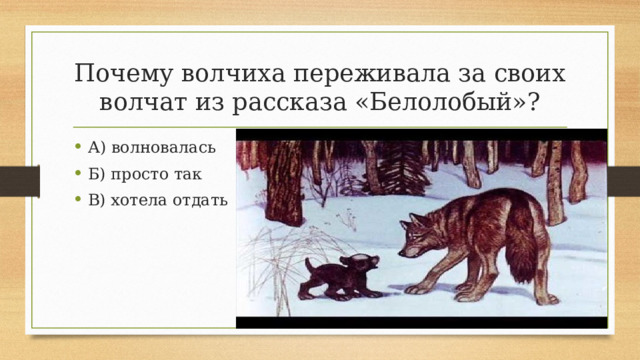 Почему волчиха переживала за своих волчат из рассказа «Белолобый»?