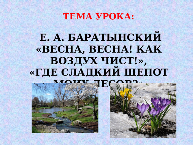 ТЕМА УРОКА:   Е. А. БАРАТЫНСКИЙ «ВЕСНА, ВЕСНА! КАК ВОЗДУХ ЧИСТ!»,  «ГДЕ СЛАДКИЙ ШЕПОТ МОИХ ЛЕСОВ?»