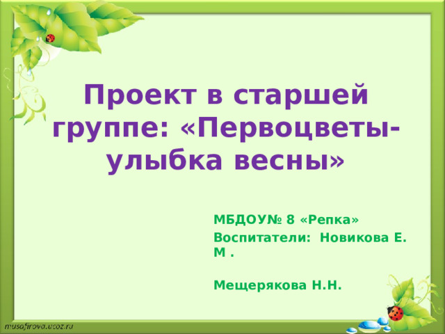 Проект в старшей группе: «Первоцветы- улыбка весны» МБДОУ№ 8 «Репка» Воспитатели: Новикова Е. М .  Мещерякова Н.Н.