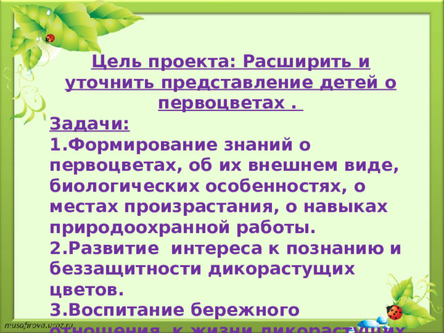 Цель проекта: Расширить и уточнить представление детей о первоцветах . Задачи: 1.Формирование знаний о первоцветах, об их внешнем виде, биологических особенностях, о местах произрастания, о навыках природоохранной работы. 2.Развитие интереса к познанию и беззащитности дикорастущих цветов. 3.Воспитание бережного отношения к жизни дикорастущих первоцветов.