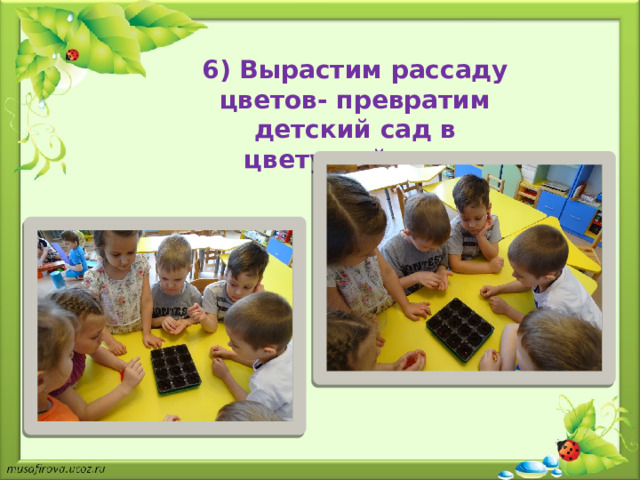 6) Вырастим рассаду цветов- превратим детский сад в цветущий сад .