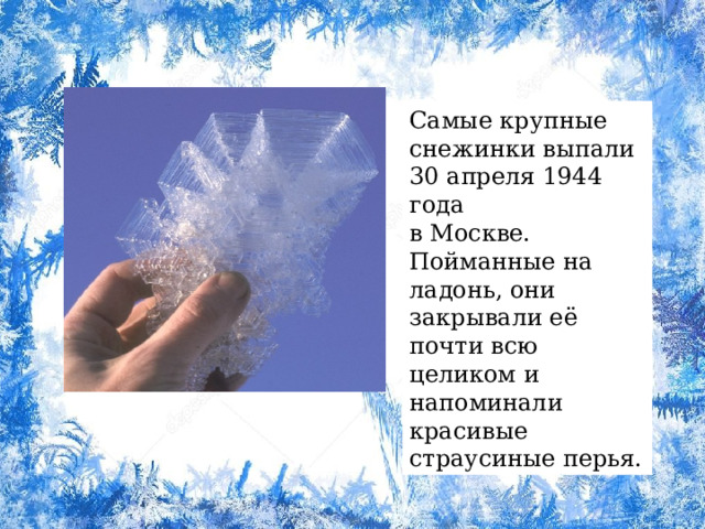 Самые крупные снежинки выпали 30 апреля 1944 года в Москве. Пойманные на ладонь, они закрывали её почти всю целиком и напоминали красивые страусиные перья.