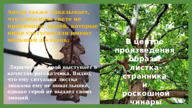 Автор также показывает, что в высшем свете не принимают людей, которые ниже статусом или имеют меньший достаток.    Лирический герой выступает в качестве рассказчика. Видно, что ему ситуация листка знакома ему не понаслышке, однако герой не выдает своих эмоций. . В центре произведения образы листка-странника и роскошной чинары  11/29/2021