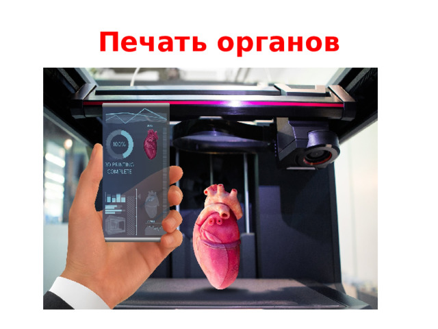 Печать органов
