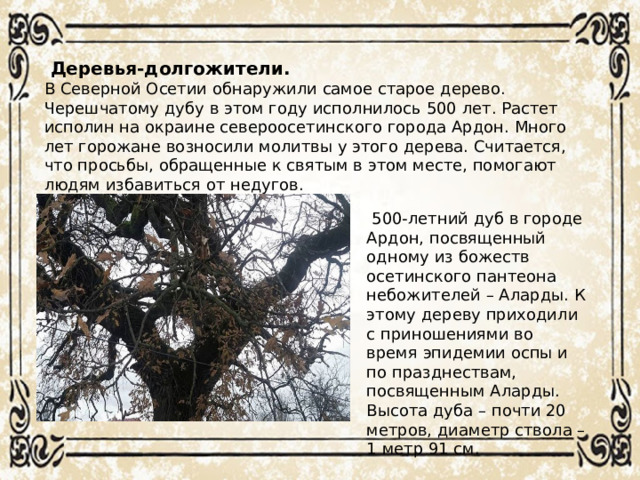 Деревья-долгожители. В Северной Осетии обнаружили самое старое дерево. Черешчатому дубу в этом году исполнилось 500 лет. Растет исполин на окраине североосетинского города Ардон. Много лет горожане возносили молитвы у этого дерева. Считается, что просьбы, обращенные к святым в этом месте, помогают людям избавиться от недугов.  500-летний дуб в городе Ардон, посвященный одному из божеств осетинского пантеона небожителей – Аларды. К этому дереву приходили с приношениями во время эпидемии оспы и по празднествам, посвященным Аларды. Высота дуба – почти 20 метров, диаметр ствола – 1 метр 91 см.
