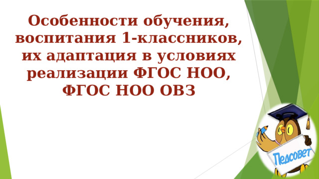 Особенности обучения, воспитания 1-классников, их адаптация в условиях реализации ФГОС НОО, ФГОС НОО ОВЗ