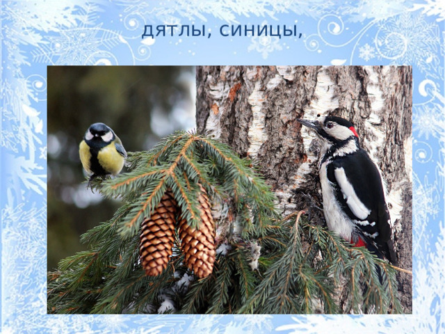 дятлы, синицы,