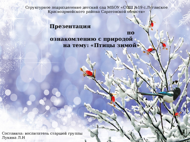 Структурное подразделение детский сад МБОУ «СОШ №19 с.Луганское Красноармейского района Саратовской области»   Презентация по ознакомлению с природой на тему:  «Птицы зимой»   Составила: воспитатель старшей группы Лукина Л.Н