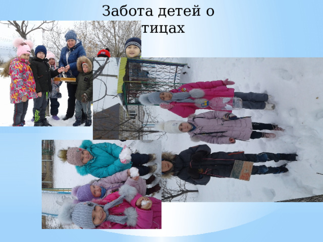 Забота детей о птицах