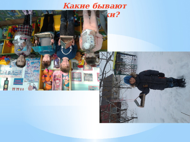 Какие бывают кормушки?