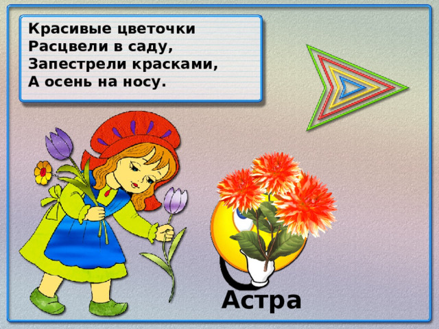 Красивые цветочки Расцвели в саду, Запестрели красками, А осень на носу. Астра