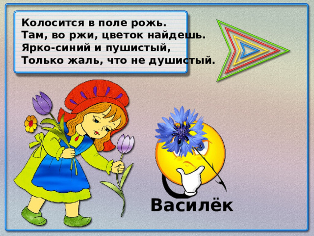 Колосится в поле рожь. Там, во ржи, цветок найдешь. Ярко-синий и пушистый, Только жаль, что не душистый. Василёк