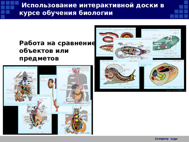 Практическая биология