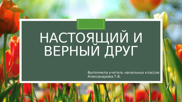 Настоящий и верный друг Выполнила учитель начальных классов Александрова Т.В.