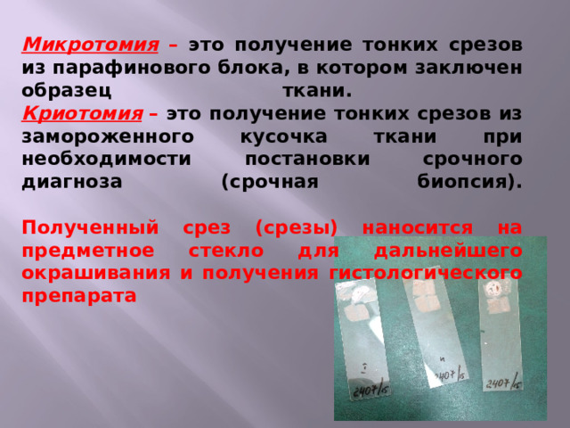 Микротомия – это получение тонких срезов из парафинового блока, в котором заключен образец ткани.  Криотомия –  это получение тонких срезов из замороженного кусочка ткани при необходимости постановки срочного диагноза (срочная биопсия).   Полученный срез (срезы) наносится на предметное стекло для дальнейшего окрашивания и получения гистологического препарата