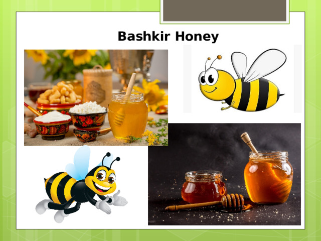 Bashkir Honey