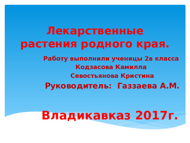 Лекарственные растения родного края. Работу выполнили ученицы 2в класса Кодзасова Камилла Севостьянова Кристина Руководитель: Газзаева А.М.   Владикавказ 2017г.