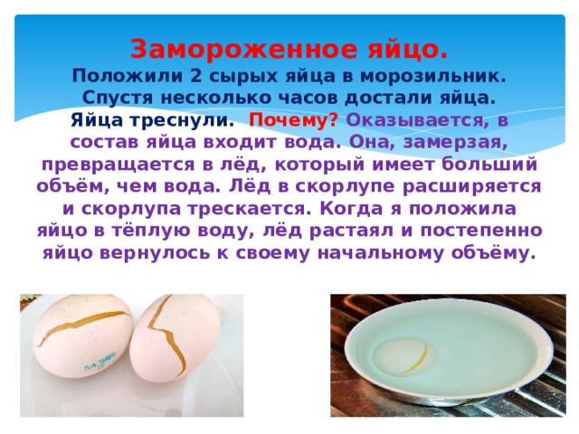 Замороженное яйцо.  Положили 2 сырых яйца в морозильник.  Спустя несколько часов достали яйца.  Яйца треснули. Почему? Оказывается, в состав яйца входит вода. Она, замерзая, превращается в лёд, который имеет больший объём, чем вода. Лёд в скорлупе расширяется и скорлупа трескается. Когда я положила яйцо в тёплую воду, лёд растаял и постепенно яйцо вернулось к своему начальному объёму.