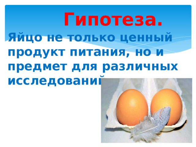 Гипотеза.  Яйцо не только ценный продукт питания, но и предмет для различных исследований.