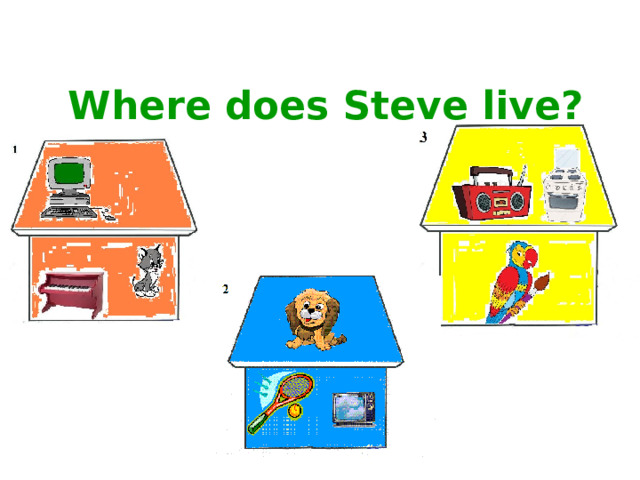 Where does Steve live?
