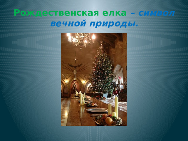 Рождественская елка – символ вечной природы.