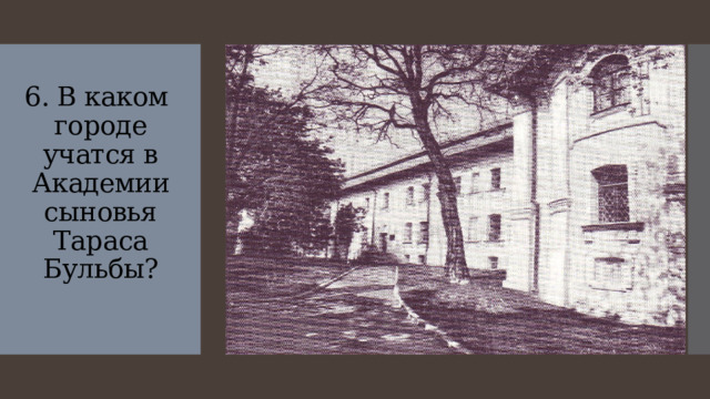 6. В каком   городе учатся в Академии сыновья Тараса Бульбы?