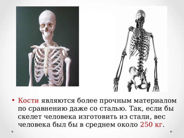 Кости являются более прочным материалом по сравнению даже со сталью. Так, если бы скелет человека изготовить из стали, вес человека был бы в среднем около 250 кг .