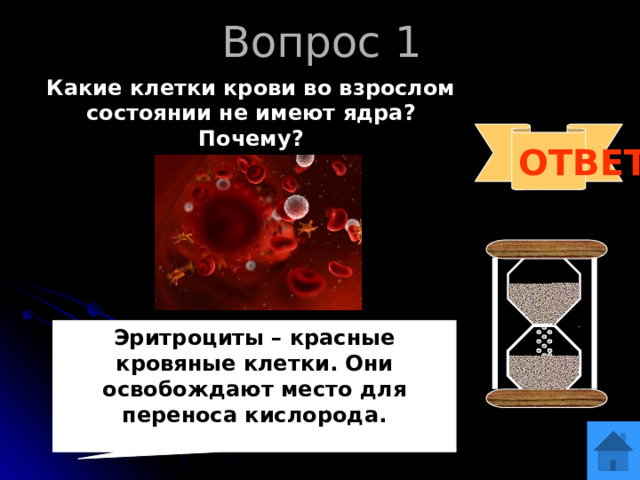 Вопрос 1 Какие клетки крови во взрослом состоянии не имеют ядра? Почему?  ОТВЕТ Эритроциты – красные кровяные клетки. Они освобождают место для переноса кислорода.
