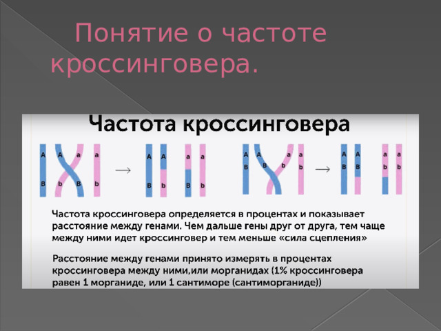 Частота нарушения сцепления генов. Процент кроссинговера. Частота кроссинговера формула. Как определить частоту кроссинговера. Кроссинговер это кратко.