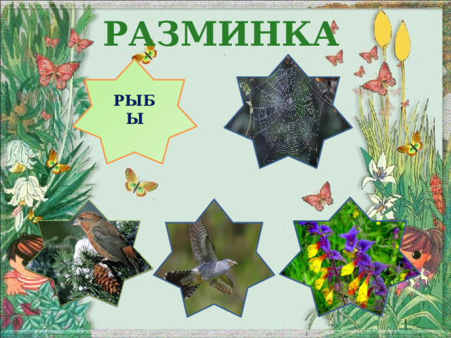 Разминка РЫБЫ ? ?  ? ? ?