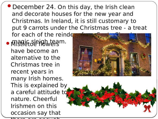 December 24. On this day, the Irish clean and decorate houses for the new year and Christmas. In Ireland, it is still customary to put 9 carrots under the Christmas tree - a treat for each of the reindeer from Santa Claus's magic sleigh team. Mistletoe flowers have become an alternative to the Christmas tree in recent years in many Irish homes. This is explained by a careful attitude to nature. Cheerful Irishmen on this occasion say that there are enough Christmas trees for everyone and on the street