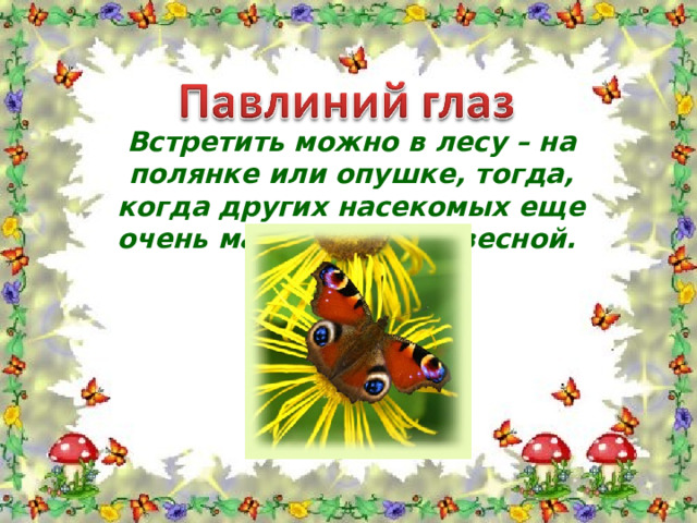 Встретить можно в лесу – на полянке или опушке, тогда, когда других насекомых еще очень мало, - ранней весной.