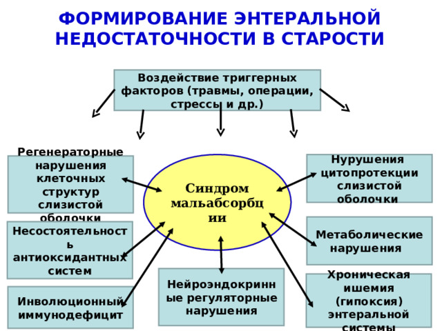 ФОРМИРОВАНИЕ ЭНТЕРАЛЬНОЙ НЕДОСТАТОЧНОСТИ В СТАРОСТИ Воздействие триггерных факторов (травмы, операции, стрессы и др.) Синдром мальабсорбции Нурушения цитопротекции слизистой оболочки Регенераторные нарушения клеточных структур слизистой оболочки Метаболические нарушения Несостоятельность антиоксидантных систем Нейроэндокринные регуляторные нарушения Хроническая ишемия (гипоксия) энтеральной системы Инволюционный иммунодефицит