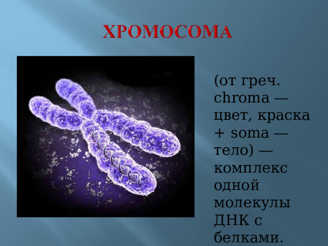 (от греч. chroma — цвет, краска + soma — тело) — комплекс одной молекулы ДНК с белками.
